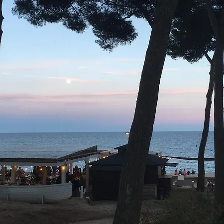 Fenals Penthouse Apartment Lloret de Mar